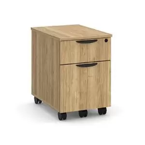 Mobile File Pedestal
